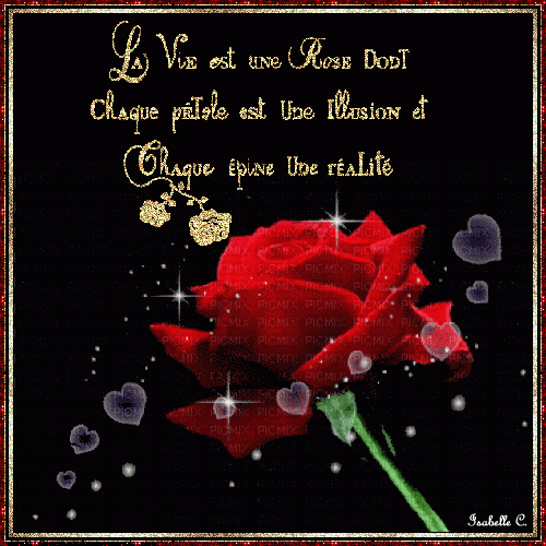 La vie est une rose...