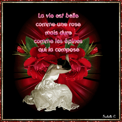 La vie est belle comme une rose mais dure...